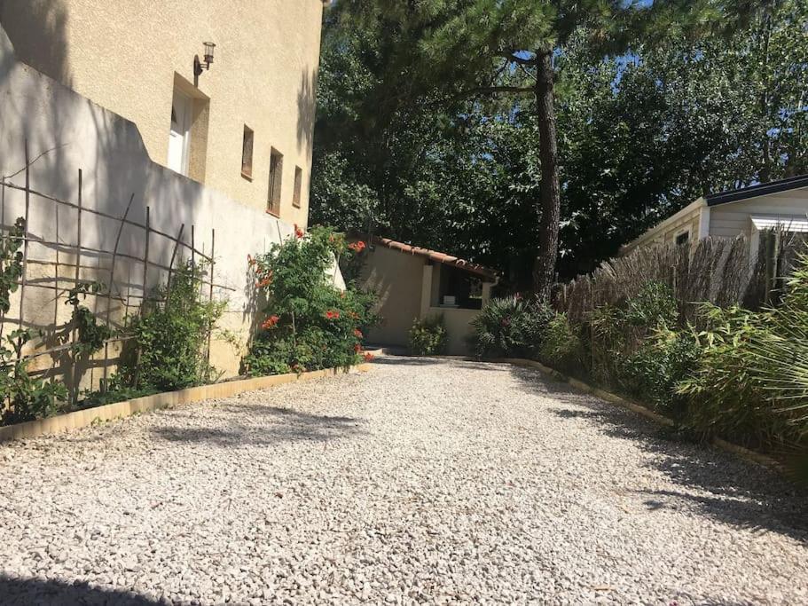 Marseillan Plage Studio Independant المظهر الخارجي الصورة